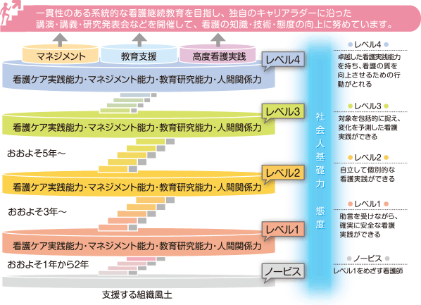 看護部キャリアラダーの基本構造